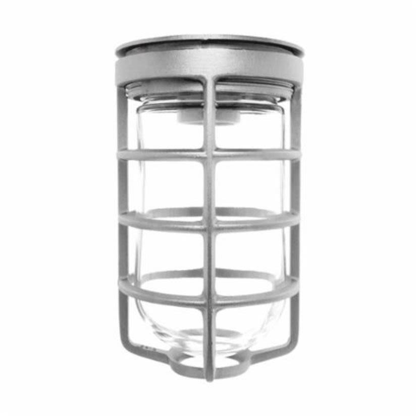 RAB VC100DG VC Series HID Outdoor Vaporproof Light Fixture,) A-19 Incandescent Lamp, 120/208/240/277 VAC, Natural Housing